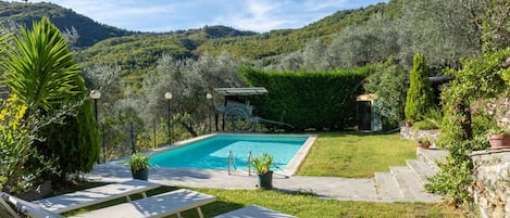 Plante, L'Eau, Ciel, Nuage, Propriété, Communauté Des Plantes, Piscine, La Nature, Bleu Azur, Paysage Naturel