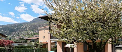 Planta, Cielo, Nube, Propiedad, Ligero, Sombra, Hierba, Barrio Residencial, Árbol, Barrio