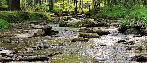 Terrain de l’hébergement 