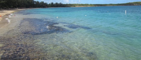 Spiaggia