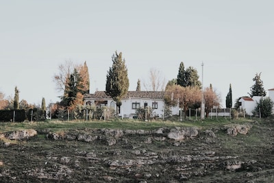 Casa rural en Dosbarrios, Toledo