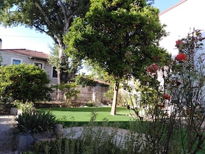 the garden covered with artificial lawn