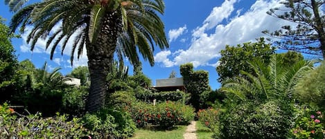 Jardines del alojamiento