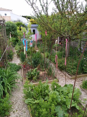 Le potager, ici la permaculture règne ...
