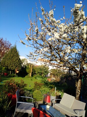 la terrasse et le jardin