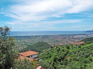 Wolke, Himmel, Pflanzengemeinschaft, Natürliche Landschaft, Azurblau, Baum, Hochland, Grundstueck, Kumulus, Horizont