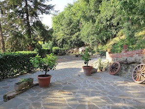 Flagstone, Property, Garden, Patio, Walkway, Road Surface, Landscaping, Botany, Courtyard, Landscape
