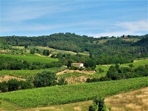 Cloud, Plant, Sky, Plant Community, Ecoregion, Natural Landscape, Natural Environment, Tree, Land Lot, Hedge