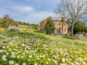 Flower, Sky, Plant, Cloud, Building, Petal, Leaf, Tree, Natural Landscape