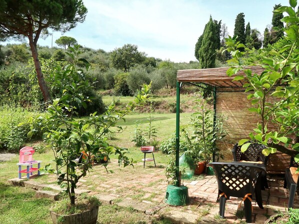 Plant, Sky, Property, Plant Community, Tree, Green, Natural Environment, Natural Landscape, Land Lot, Cloud
