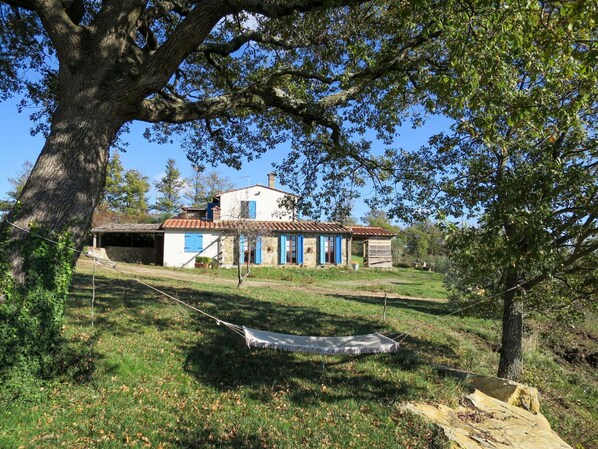 Pflanze, Himmel, Pflanzengemeinschaft, Fenster, Baum, Gebäude, Natürliche Landschaft, Grundstueck, Holz, Schatten