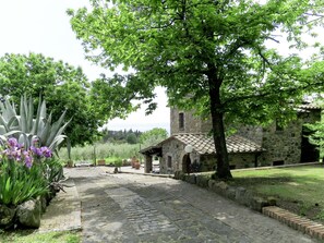 Plante, Bâtiment, Ciel, Botanique, Paysage Naturel, Arbre, Maison, Lot Terre, Surface De La Route, Fleur