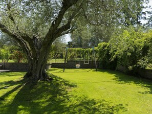 Plante, Arbre, Branche, Paysage Naturel, Ombre, Lot Terre, Herbe, Des Loisirs, Loisir, Arbuste