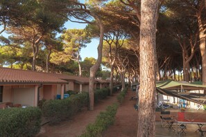 Vista dalla camera