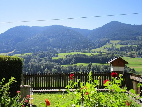 Terrain de l’hébergement 