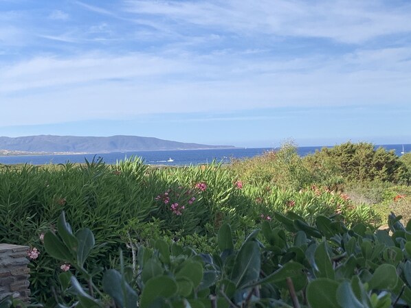 Blick von der Unterkunft