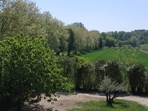 l'environnement