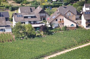 Blick von der Moselloreley auf Ihr Feriendomizil