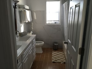 Master suite bathroom 