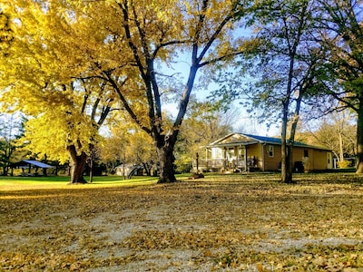 Trees, wildlife abound- a beautiful surrounding as you relax in a cozy cabin