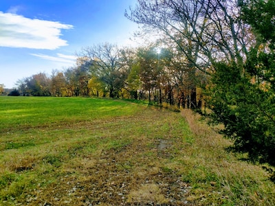 Trees, wildlife abound- a beautiful surrounding as you relax in a cozy cabin