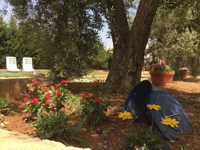 Picture of villa