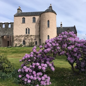 Facade with Rhododendron