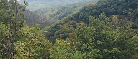 Mountain views from the cabin.