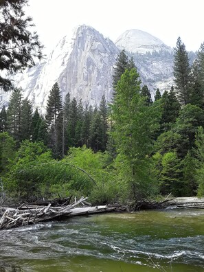 Yosemite National Park (YNP)ey