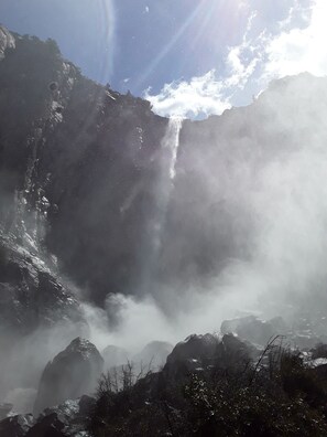 Yosemite National Park (YNP)