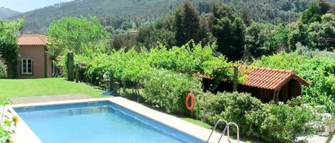 Water, Plant, Sky, Mountain, Furniture, Green, Swimming Pool, Building, Nature, Tree