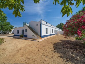 Plante, Ciel, Propriété, Bâtiment, Fenêtre, Arbre, Nuage, Fleur, Immobilier, Paysage