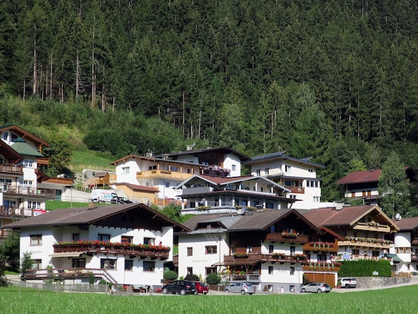 Pflanze, Baum, Haus, Gebäude, Wohngebiet, Natürliche Landschaft, Landschaft, Freizeit, Gras, Gebirge