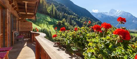 Flower, Plant, Sky, Mountain, Property, Flowerpot, Natural Landscape, Vegetation, Biome, Wood