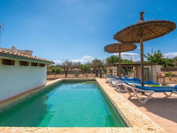 Sky, Water, Plant, Swimming Pool, Blue, Azure, Shade, Outdoor Furniture, Tree, Umbrella