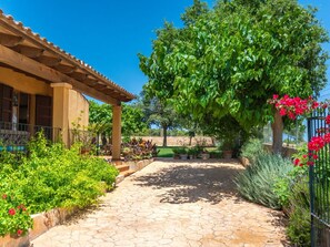 Plant, Flower, Sky, Building, Window, Land Lot, Tree, Shade, Neighbourhood, Leisure