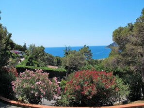 Végétation, Propriété, Jardin, Ciel, Botanique, Arbre, Jardin Botanique, Plante, Immobilier, Printemps