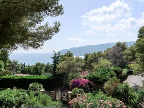 Vegetación, Jardín, Paisaje Natural, Naturaleza, Árbol, Jardín Botánico, Cielo, Biome, Propiedad, Planta De La Comunidad