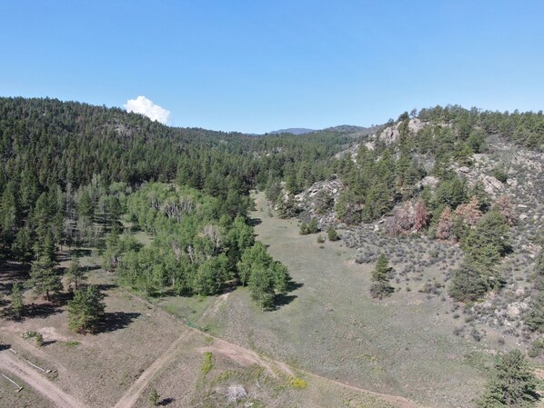 The Aspen Glen