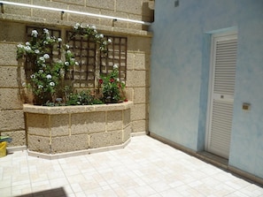 Garden. Picture 18