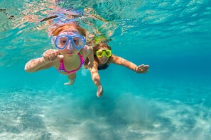 Children Snorkelling, South Coast NSW