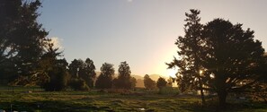 Cosy Cabin - Sunset