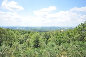 Vegetation, Shrubland, Natural Environment, Nature Reserve, Plant Community, Wilderness, Tree, Biome, Sky, Tropical And Subtropical Coniferous Forests