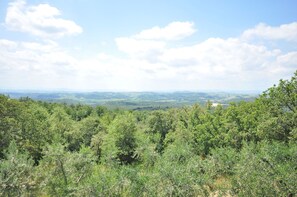 Végétation, Formations Arbustives, Environnement Naturel, Réserve Naturelle, Communauté Des Plantes, Région Sauvage, Arbre, Biome, Ciel, Conifères Tropicale Et Subtropicale Forêts