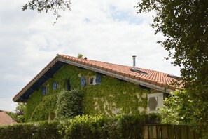 Exteriör