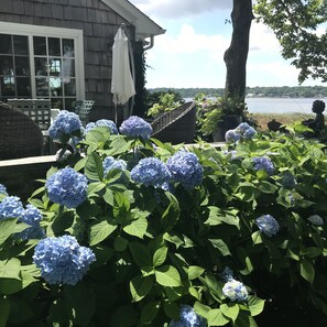 View of Back deck towards Manhasset Bay