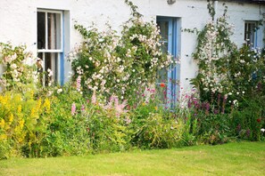A summer garden (photo by guest A Havinden, July 2020)