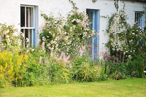 A summer garden (photo by guest A Havinden, July 2020)