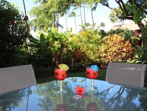 View of the property gardens from the large lanai.