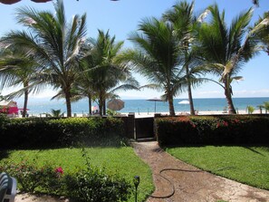 Private beach area for guest, loungers, tables, chairs, umbrellas and Palms!